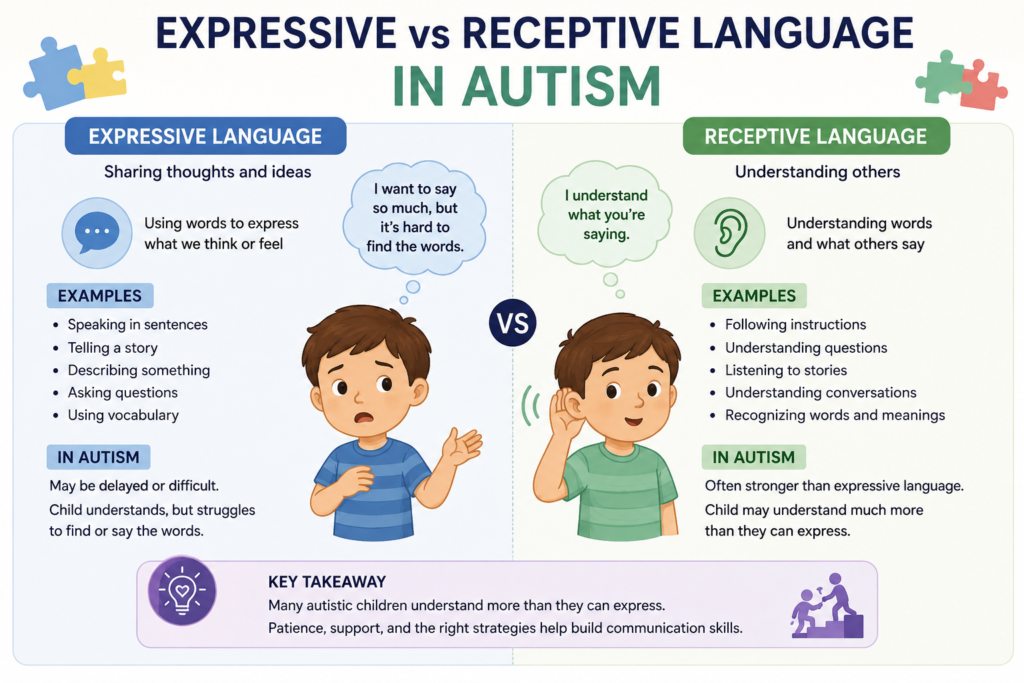 Expressive vs Receptive Language in Autism