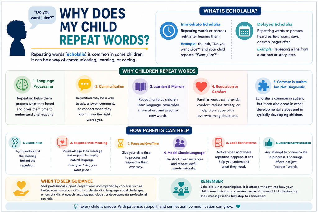 Infographic explaining echolalia in children